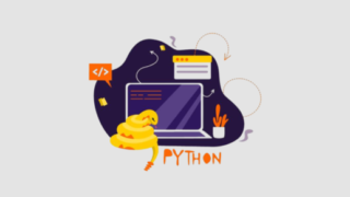 python-picture